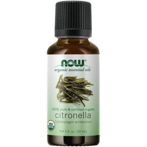 Now - essential oils - citronella Sale