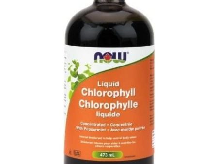 Now - liquid chlorophyll peppermint 473 ml Supply