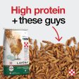 Purina® Layena®+ High Protein Layer Feed Discount