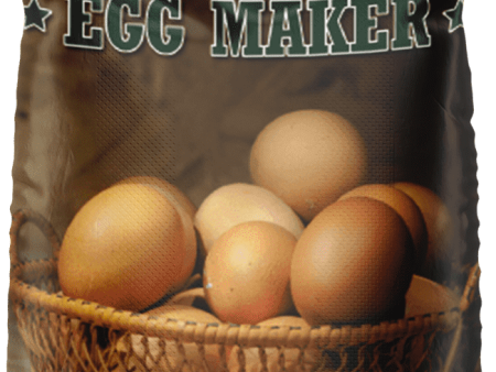 West Feeds Egg Maker Fashion