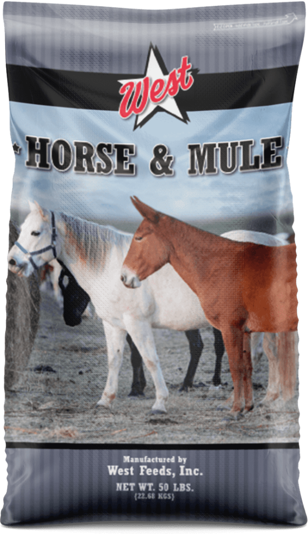 West Horse & Mule 10% Textured on Sale