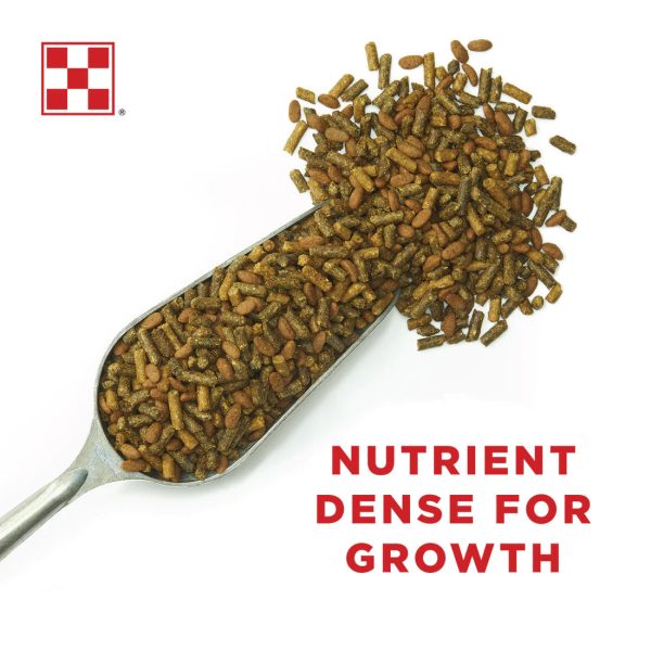 Purina® Ultium® Growth Horse Formula Online