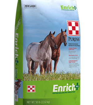 Purina Enrich Plus For Cheap