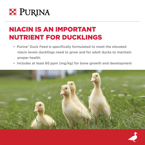 Purina Duck Pellets For Cheap