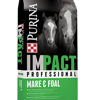 Purina Impact Professional Mare & Foal For Sale