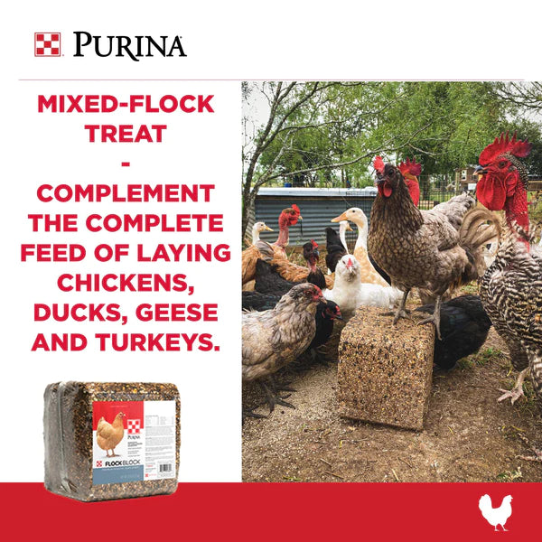 Purina® Flock Block® For Sale