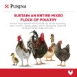 Purina® Flock Raiser® Poultry Pelleted Feed Online