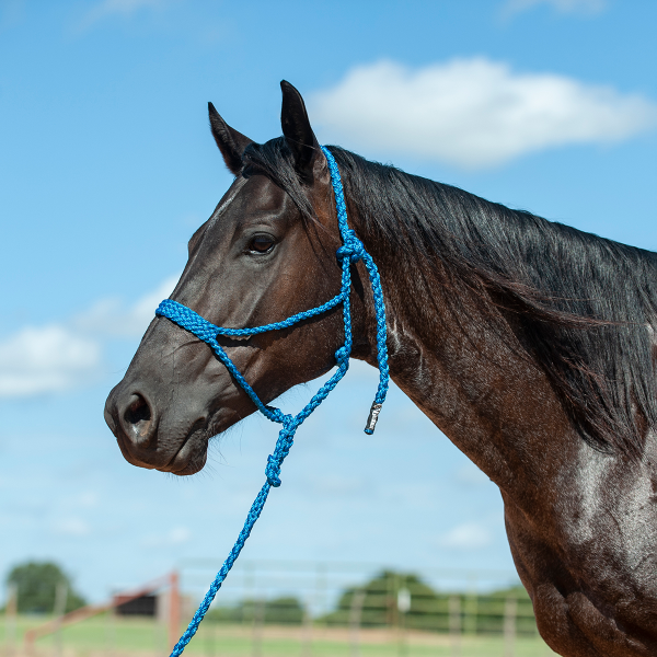 Cashel Flat Braid Halter & Leadrope Fashion