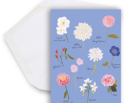 Lili Graffiti - Botany - Maxi greeting card Fashion