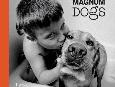 Magnum Dogs For Discount