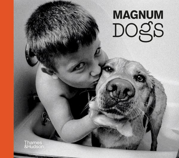 Magnum Dogs For Discount