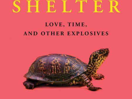 Bomb Shelter: Love, Time, and Other Explosives For Cheap