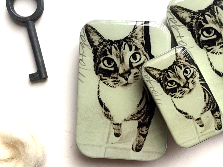 Firefly Notes - Cat Tin, Knitting Notions Tin on Sale