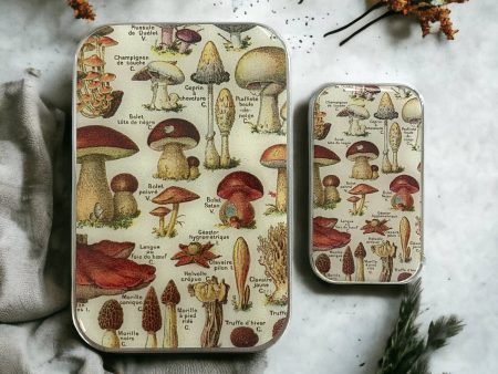 Firefly Notes - Mushroom Storage Tin For Discount