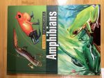 Animal Encyclopedia: Amphibians Sale