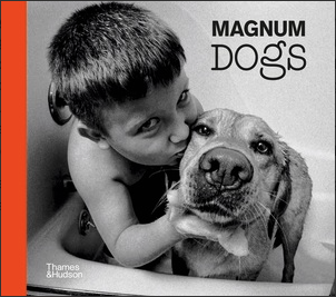 Magnum Dogs For Discount