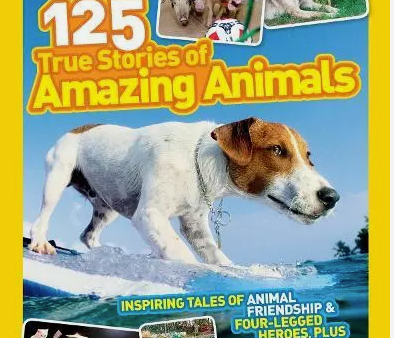 125 True Stories of Amazing Animals Fashion