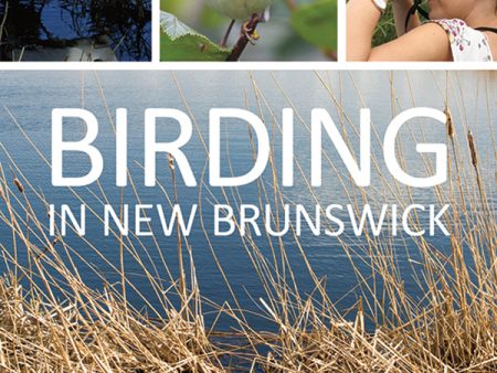 Birding in New Brunswick For Sale