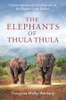 The Elephants of Thula Thula on Sale