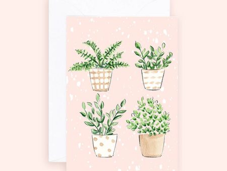 Almeida Illustrations - Mini Card - Plants Quartet -Everyday Botanical Greeting Card For Sale