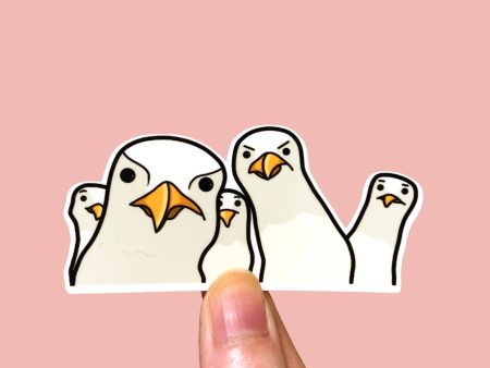 Small Noggin Studios - Funny Staring Seagulls Group Vinyl Sticker, bird meme mine, Cheap