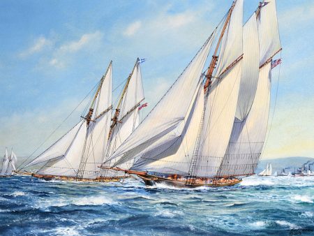 America s Cup 1876 - Roy Cross RSMA Supply