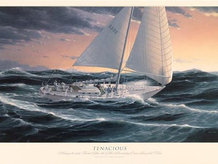 Tenacious - John Mecray Online Hot Sale