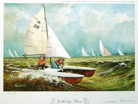 The Gathering Storm - Norman Thelwell Online now