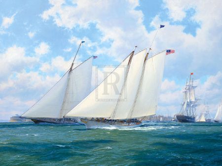 America racing Maria, New York 1851 - Steven Dews For Sale