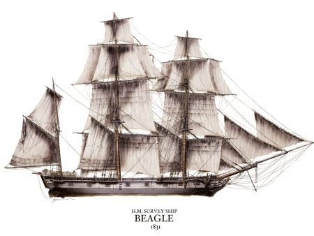 HMS Beagle - Limited edition giclée print by Tony Fernandes For Discount