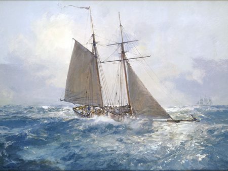 HMS Pickle - 6-gun schooner For Discount