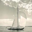 Sunlit Sails II - Michael Kahn For Sale