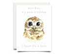 Inkwell Cards - Hope it s a Hoot | Birthday Greeting Card Hot on Sale