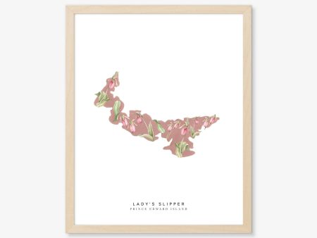 Natasha Vanderburg Co. - Prince Edward Island Lady s Slipper Art Print For Cheap